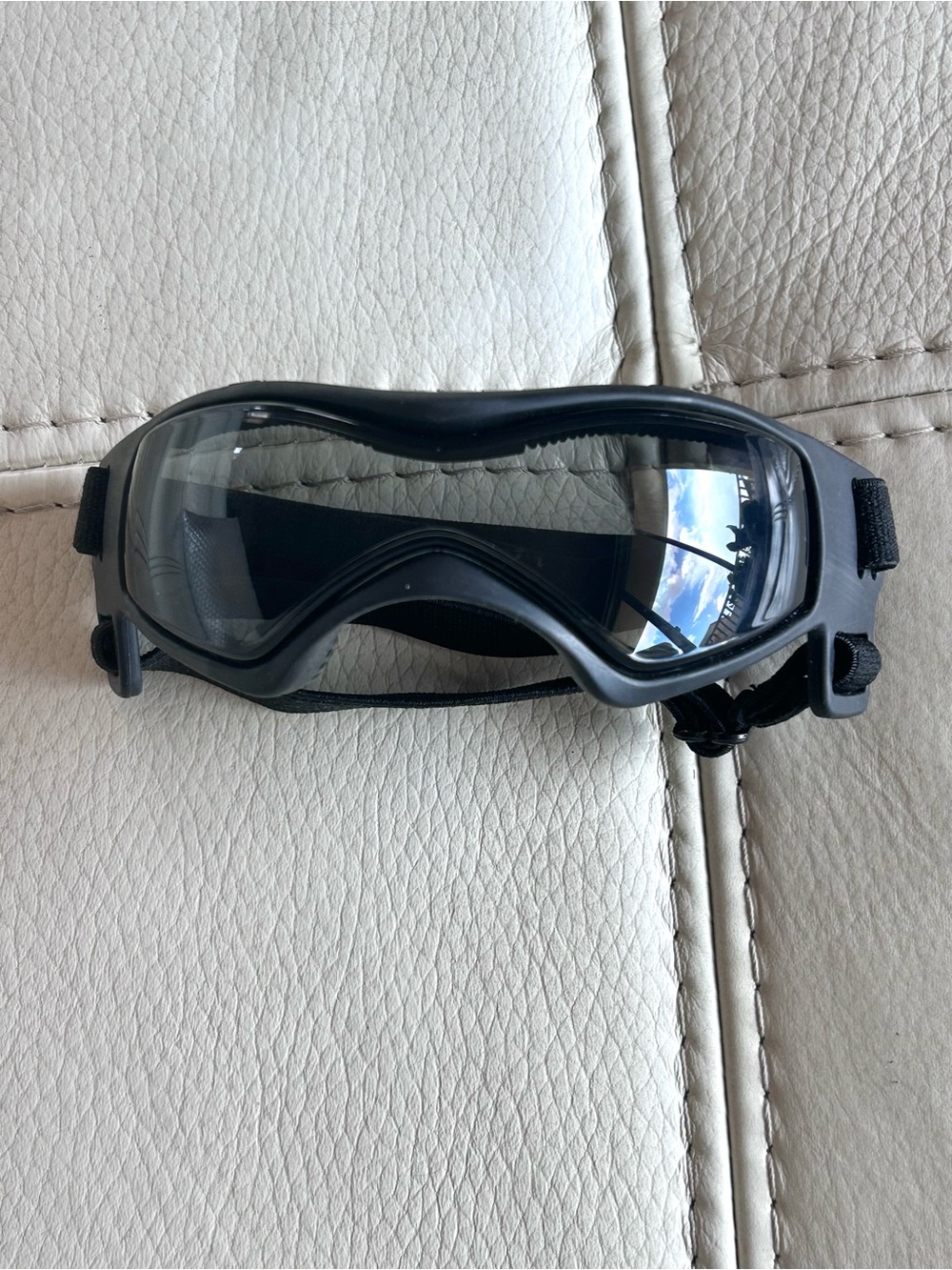Black Pet Goggles